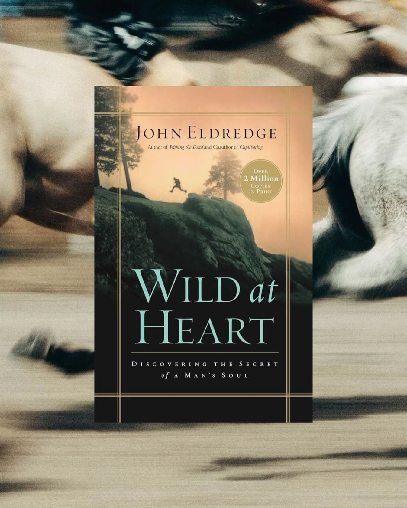 Wild at Heart by John Elderedge is a must read for men and women searching for God-given masculinity. This showed me that the desires of my heart as a woman are healthy and pure, despite what society tells men what they need to be.