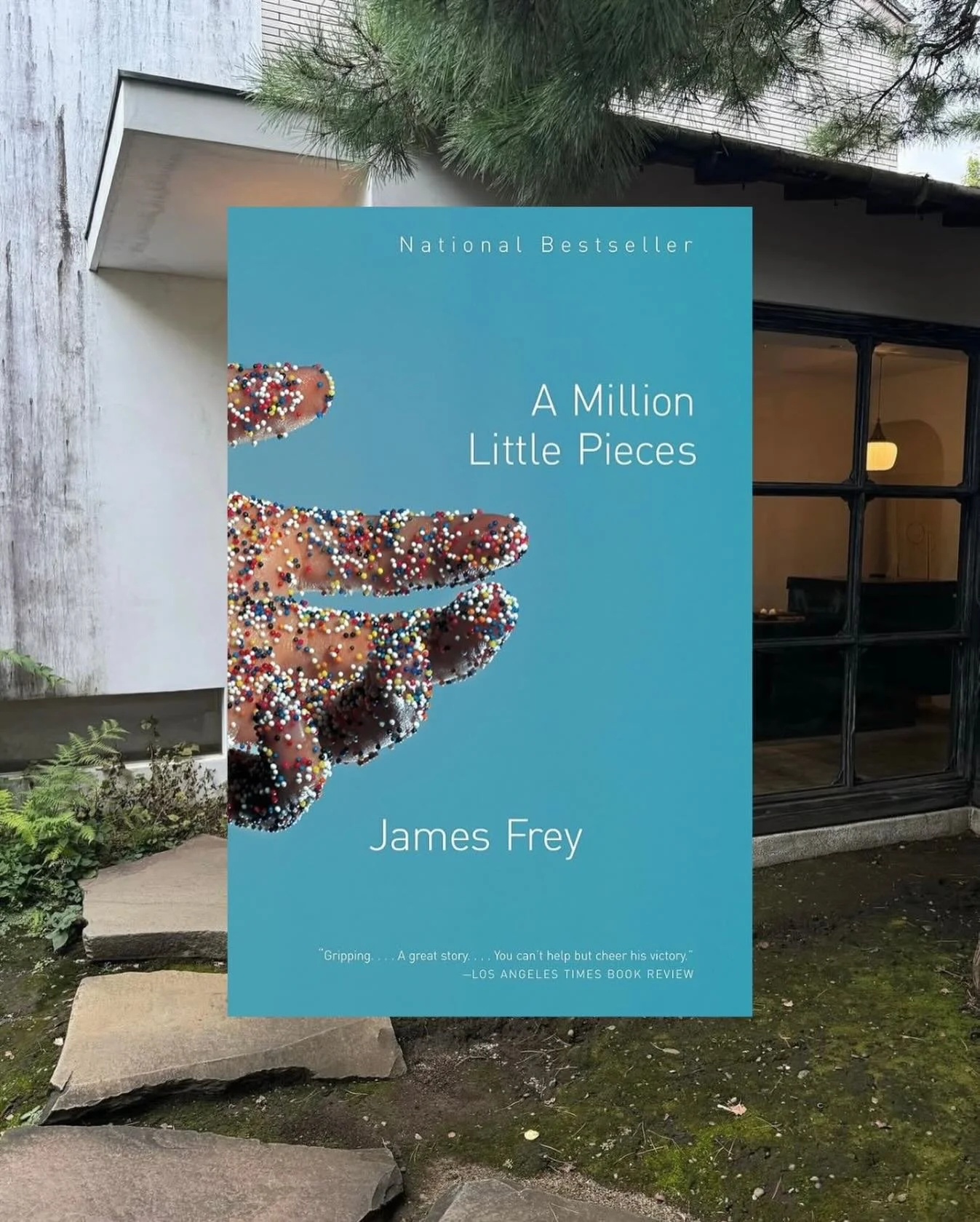 A Million Little Pieces by James Frey has dark, vivid imagery that is incredibly poetic and the choppy syntax makes it an incredible read. A true metamorphosis takes place with the main character that shook me to my core.