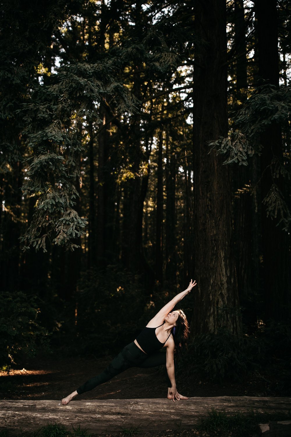 Embodied Ojas Retreat with Gaby Colletta