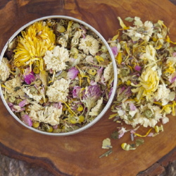 Transitioning Into Spring