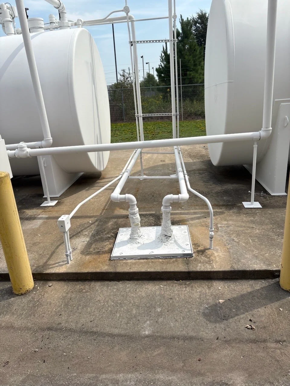 David Murray - 3.jpg