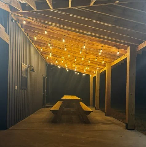 David Newman -8.jpeg