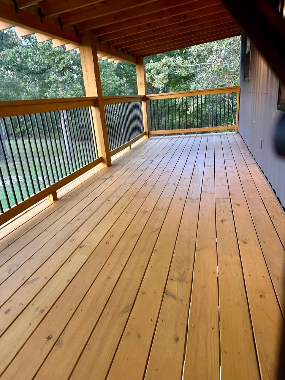 David Newman -1.webp