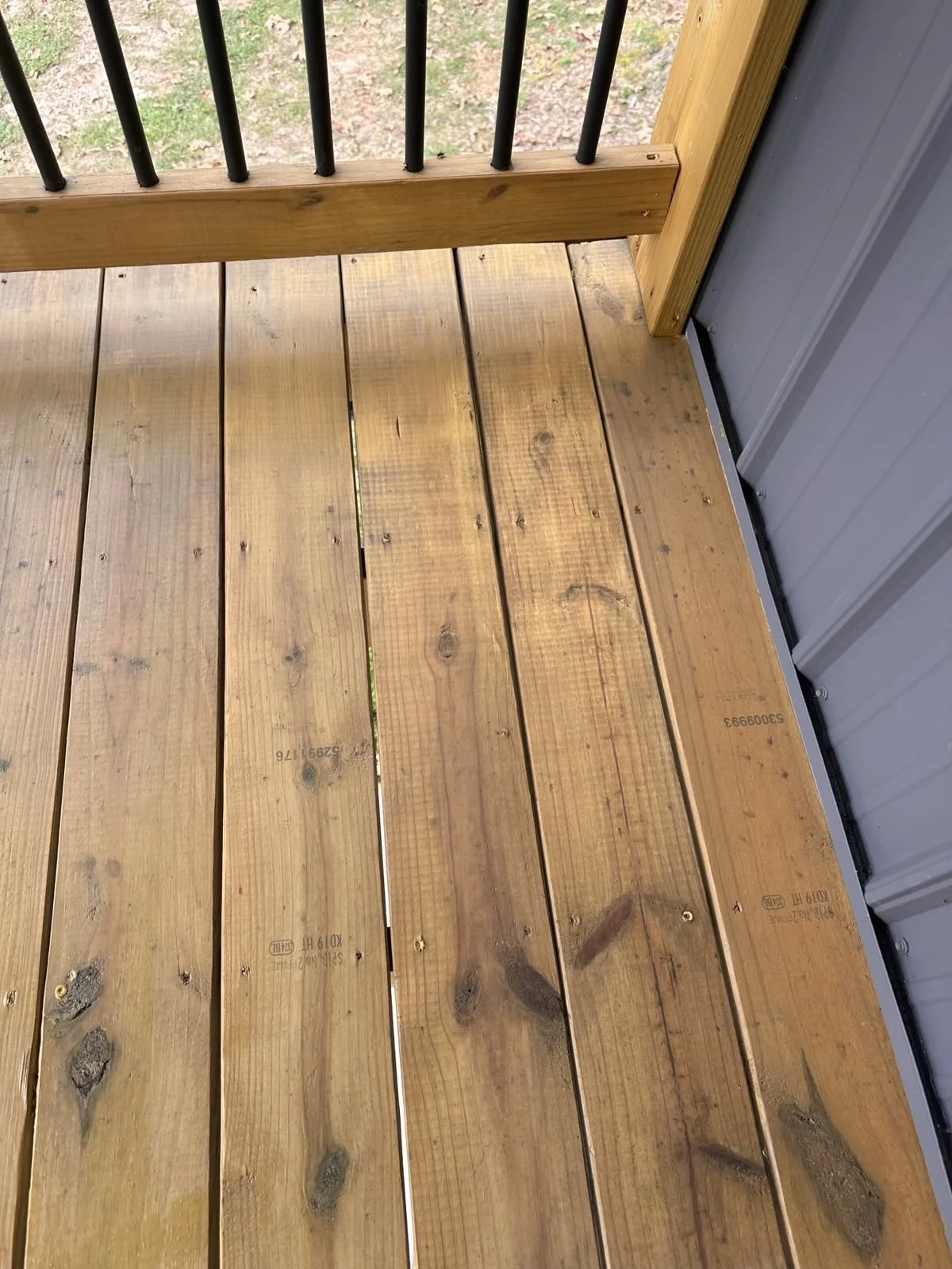 David Newman - 9.jpg