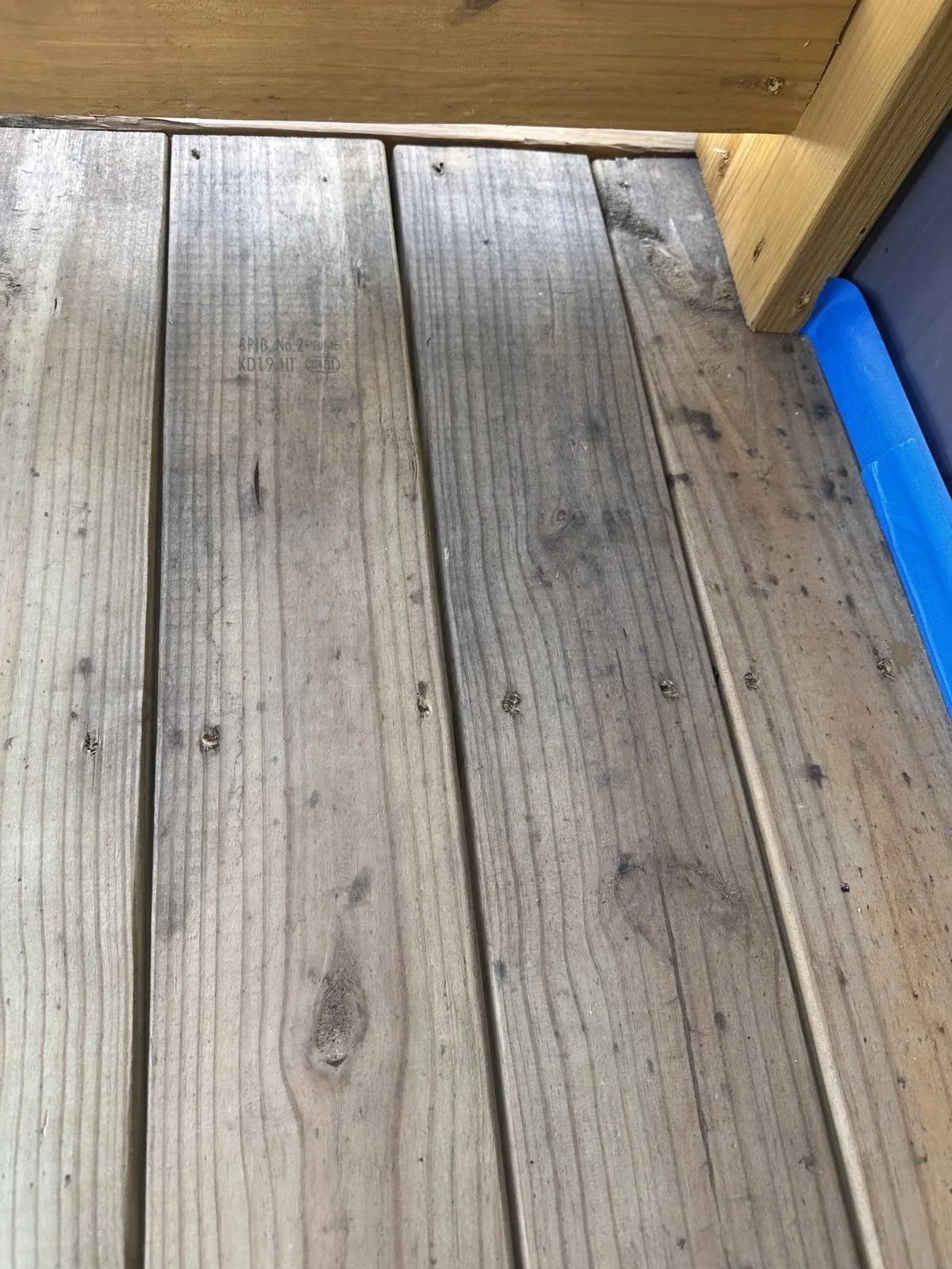 David Newman - 10.jpg