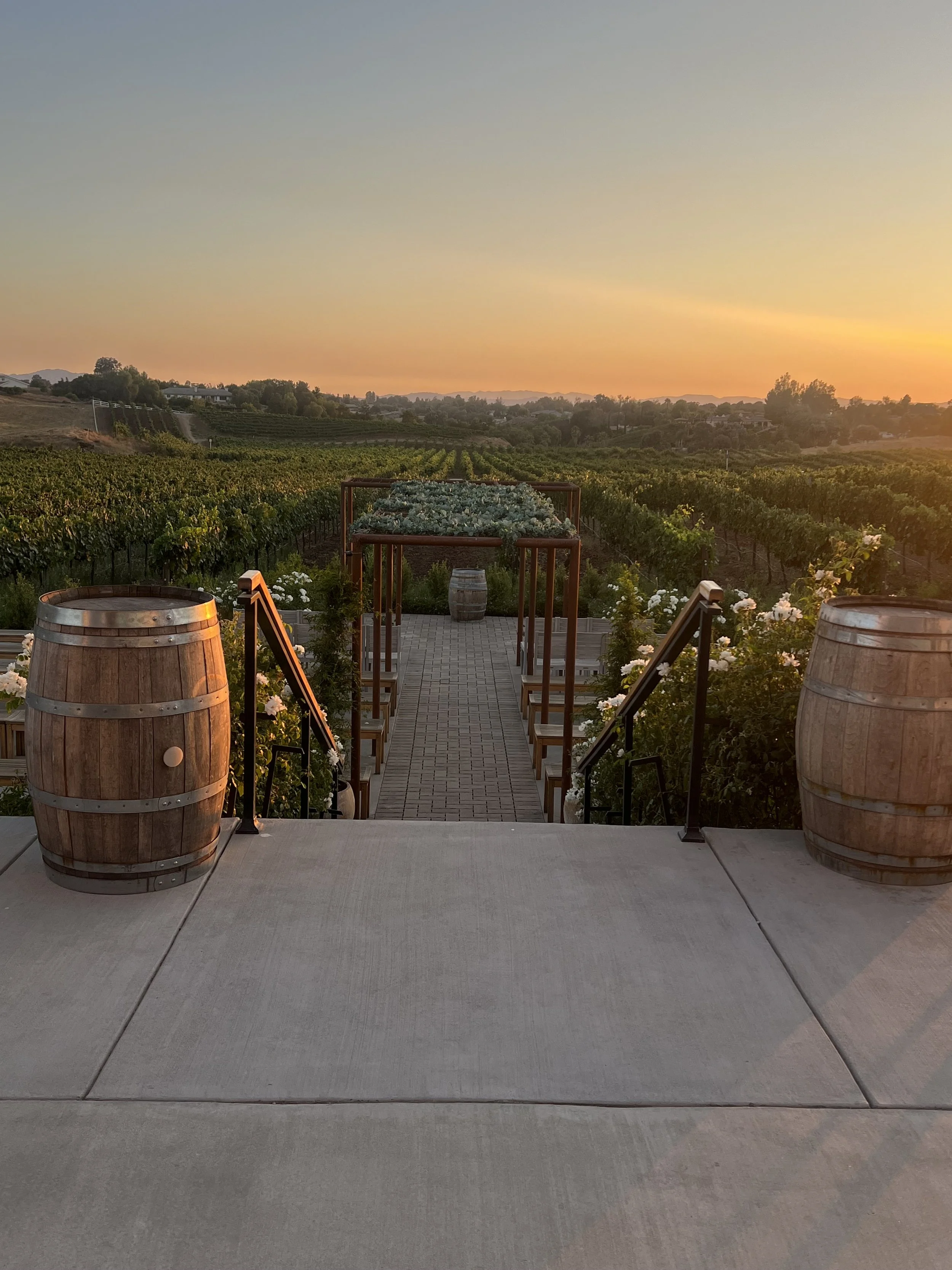 Finding Your Winery Vibe in Temecula