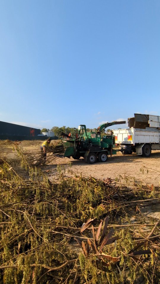 Successfully removed the invasive Leucaena woody weed.
This fast growing plant can take over landscapes.
Big thanks to Derek from Tree Tamers for the awesome help 💪