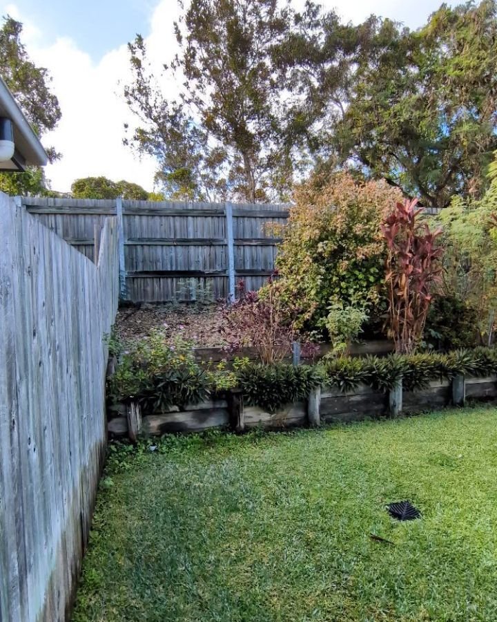 Take a look at my garden cleanup. Here are the 'before' and 'after' shots. Quite a difference!