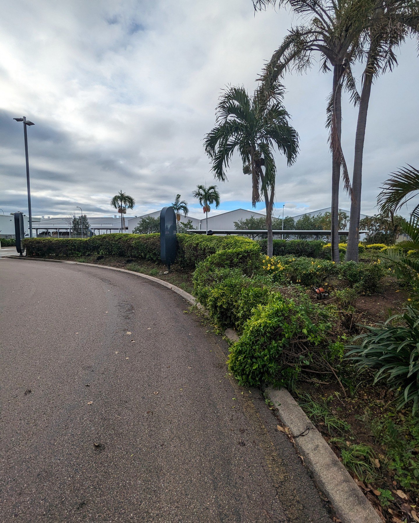 Check out the before and after of our hedge makeover journey.
After completely cutting down this edge, it will be much easier to control the shape in the future.
#lawncare #townsville #gardening