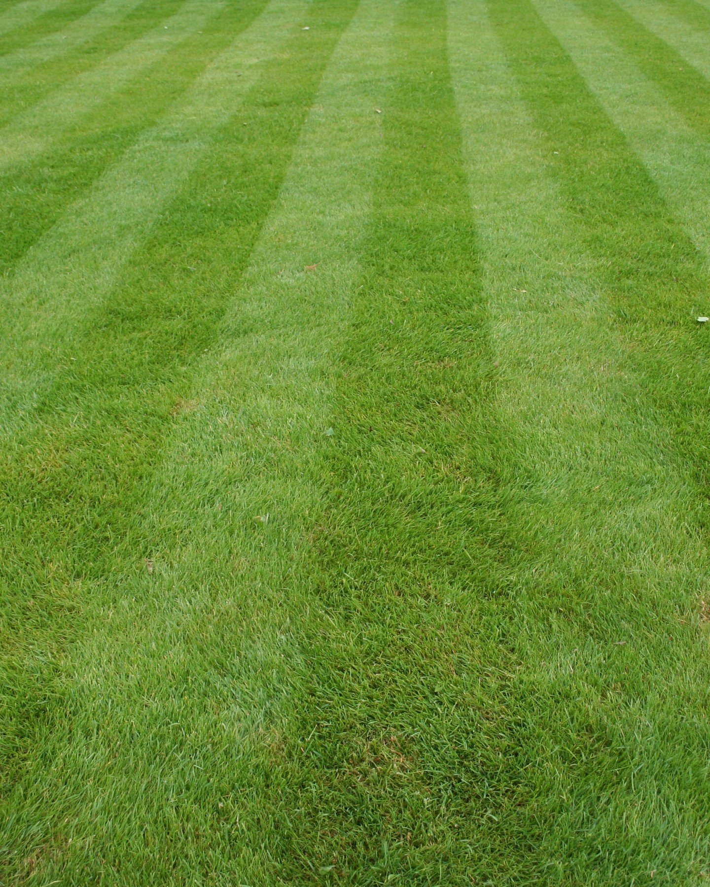 "Turning lawns into canvases, one stripe at a time. 🌱✨ #LawnStripes"