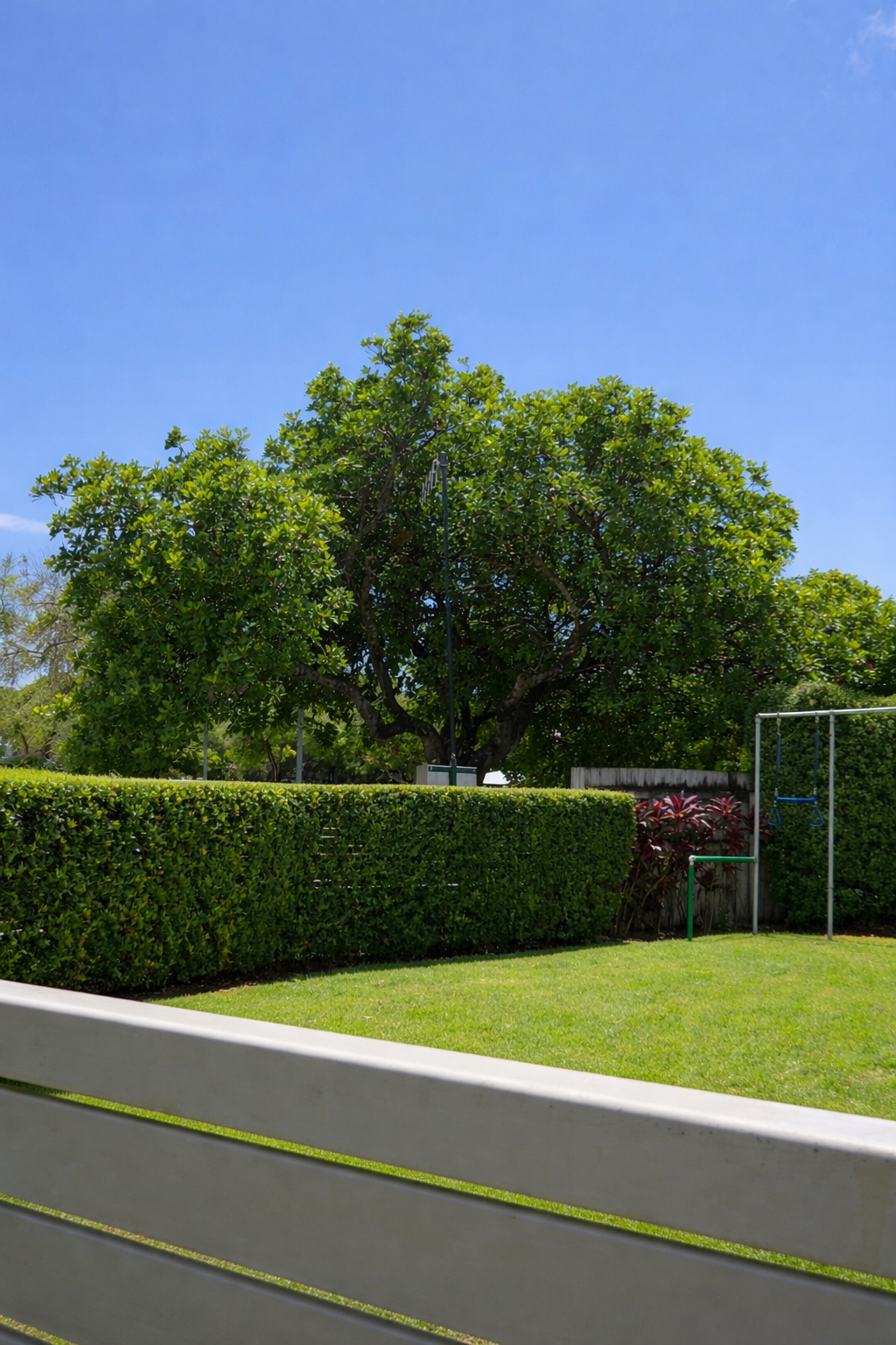 hedge trimming service in townsville by master yards