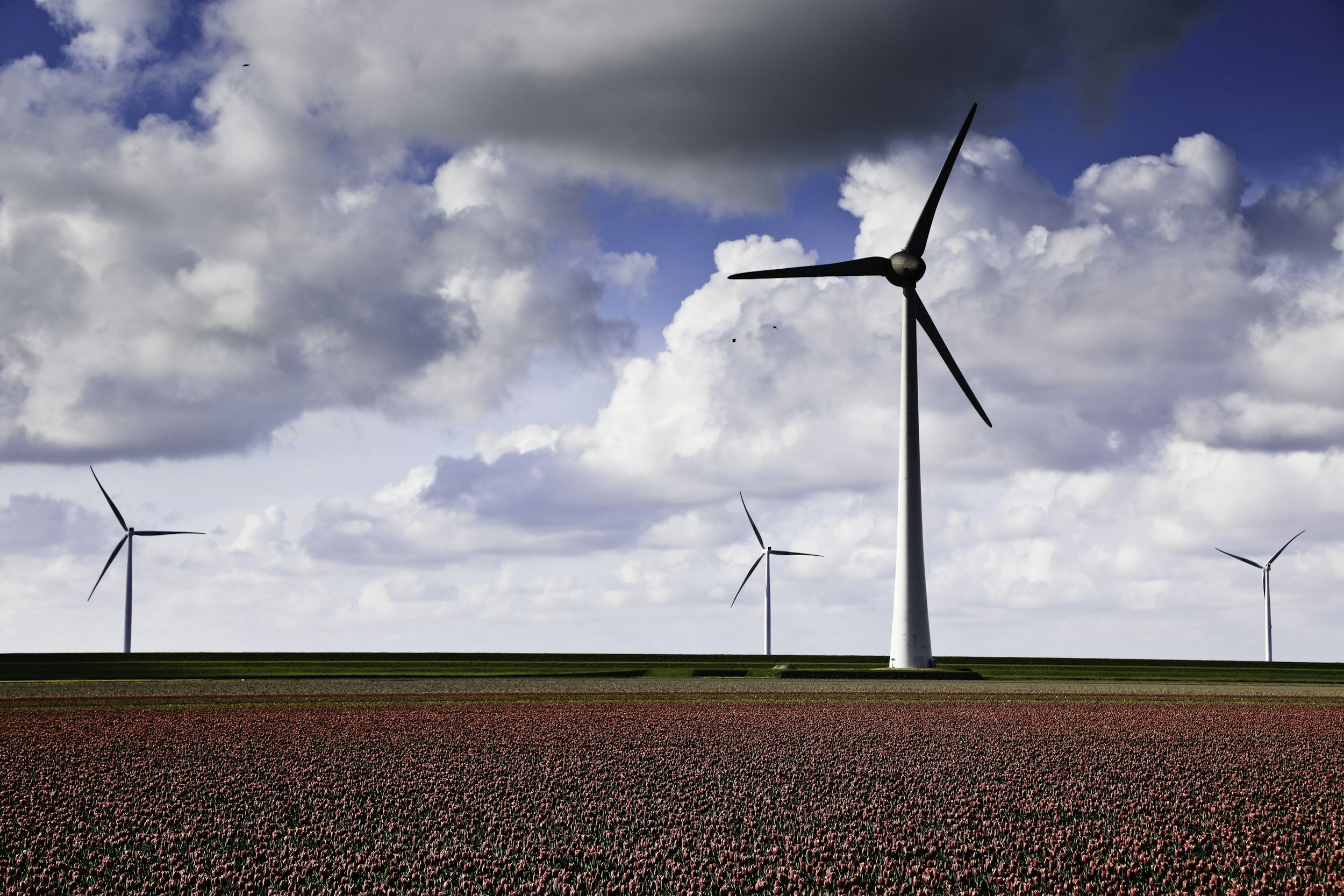 Black and white photo of a wind farm with several wind turbines in a field under a cloudy sky.