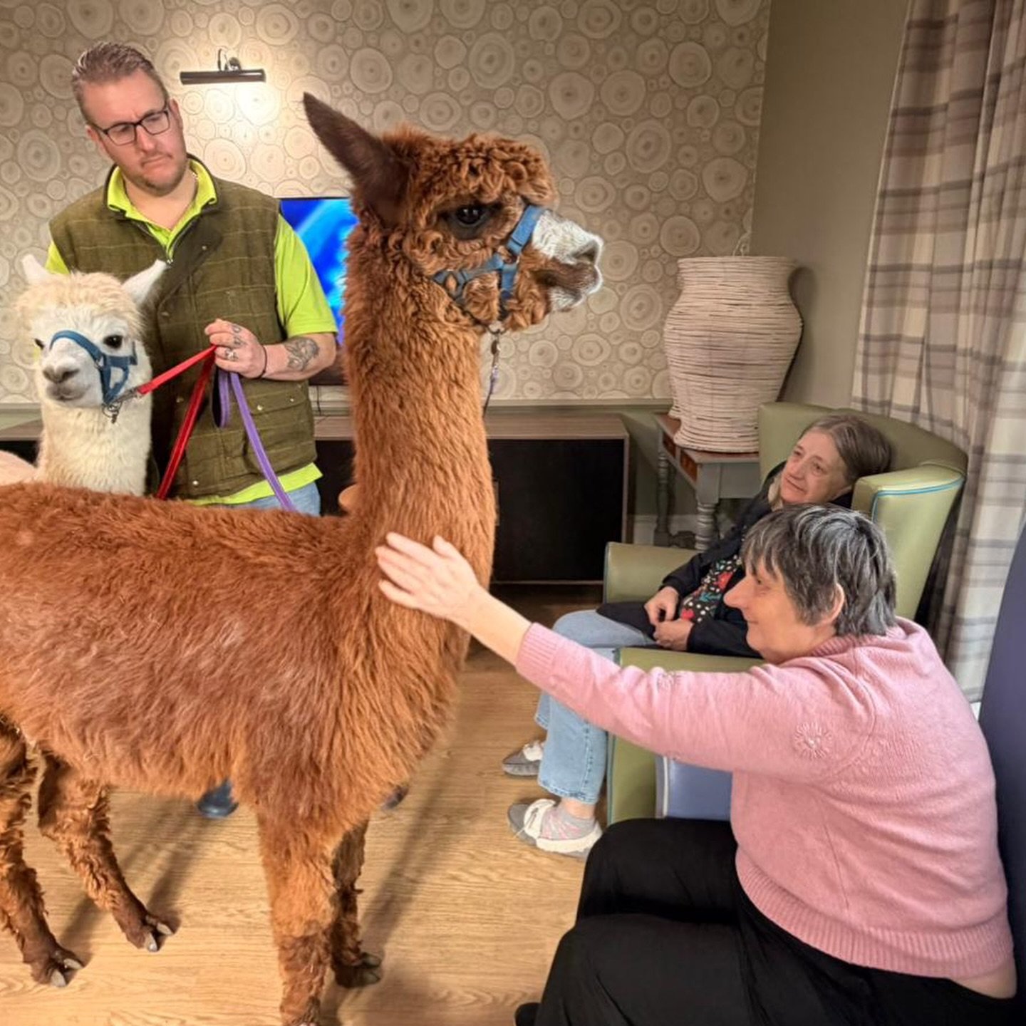 This week ✨

The Manor at St Catherine&rsquo;s had a lovely llama visit this week! The clients really enjoyed this special visitor, and it&rsquo;s amazing to see the positive impact animal therapy has🦙

St Catherine&rsquo;s have also been making the