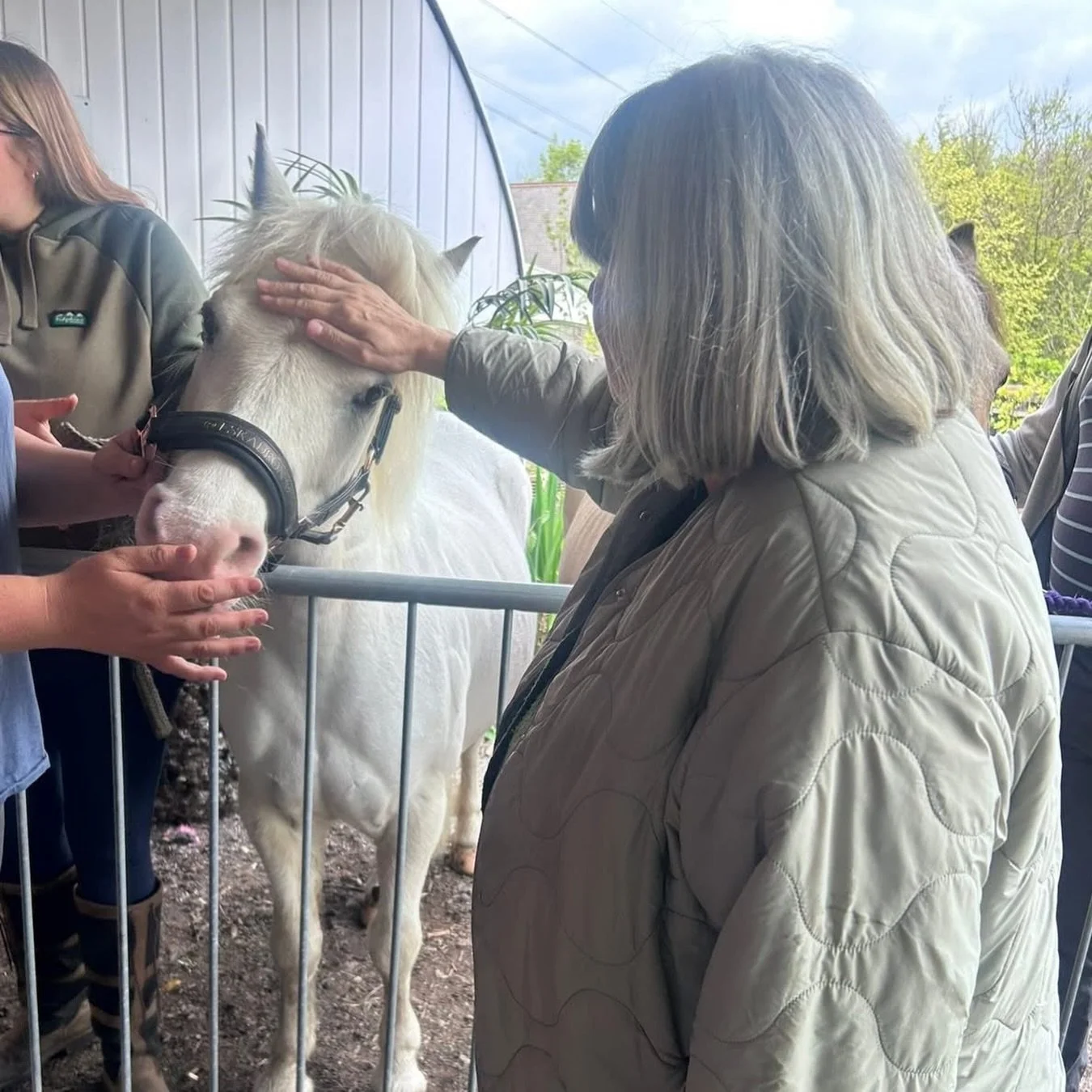 This week at The Manor Homes⭐️

The Manor at Eighton enjoyed a trip to @fedandwatered.cafe for a special dementia-friendly pony event created by @thepalominotrust 🐴

The Manor at St Catherine&rsquo;s headed to the local park to enjoy a delicious pic