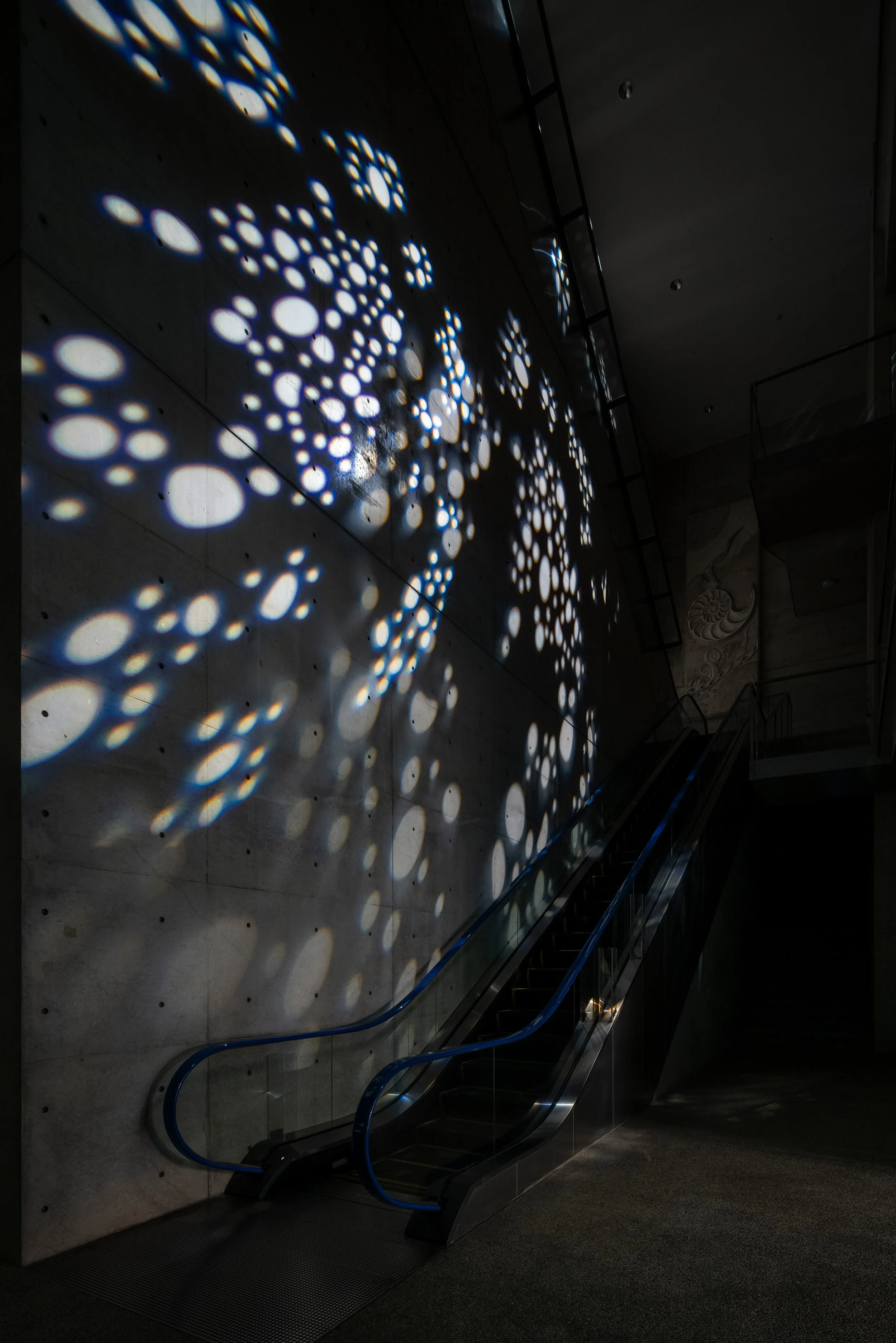 002 ToLoLo studio.jpg