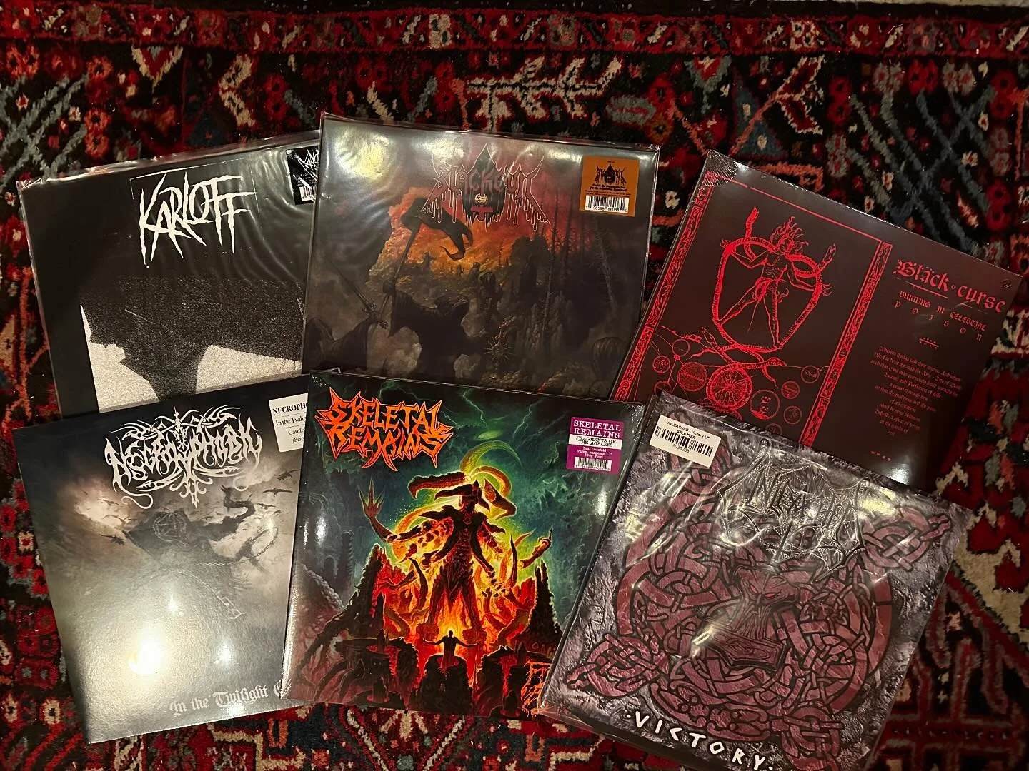 Es schneit, es ist dunkel, es ist kalt! Wir haben den besten Sound f&uuml;r dies Tage bei uns!
🔥🔥🔥
#berggeflvster #metal #heavymetal #blackmetalwomen #blackmetal #extrememusicforextremepeople #recordcollection #recordcollector #recordnerdchris #re