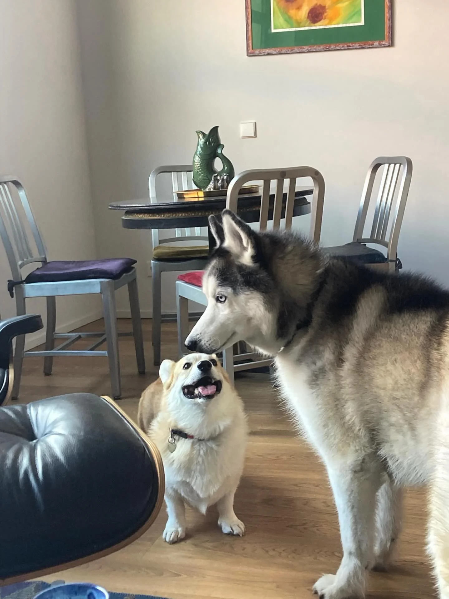 yin yang ☯️ opposites do attract