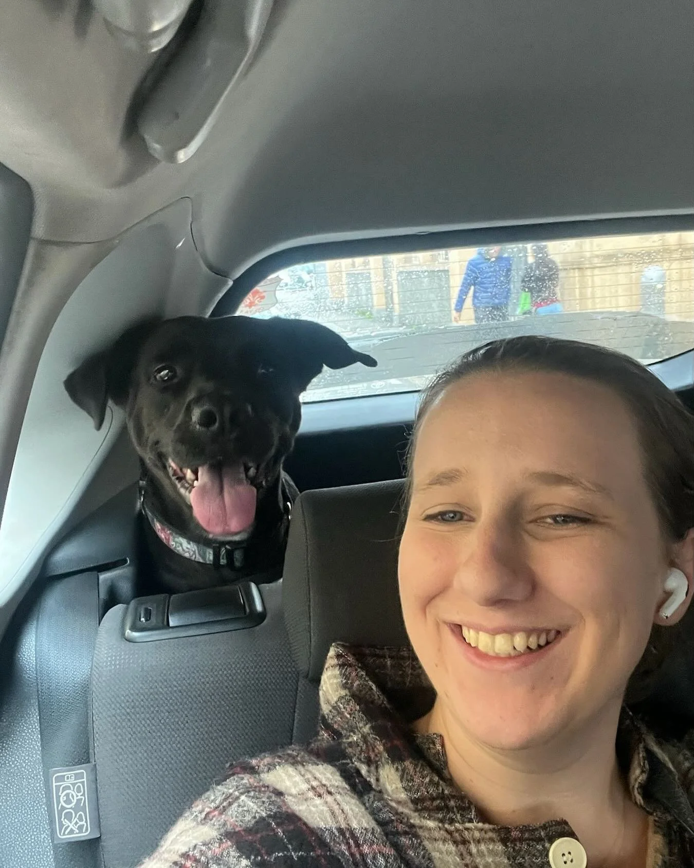 Off to the vet for Marshals annual vaccinations