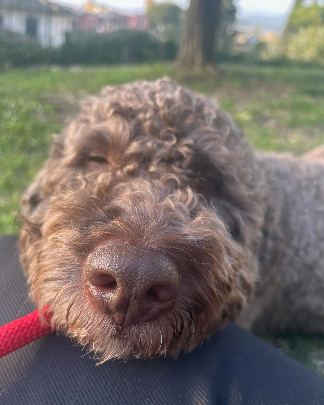 Feeling the love from Bear 🐻