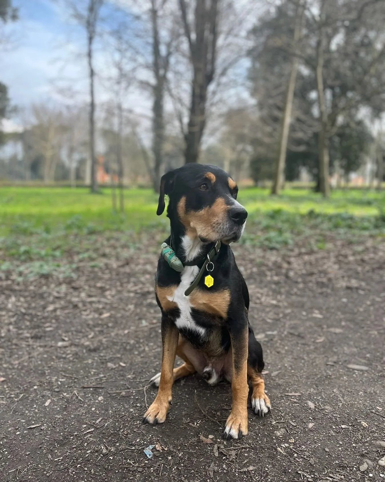 visitor from France 🇫🇷 🥐