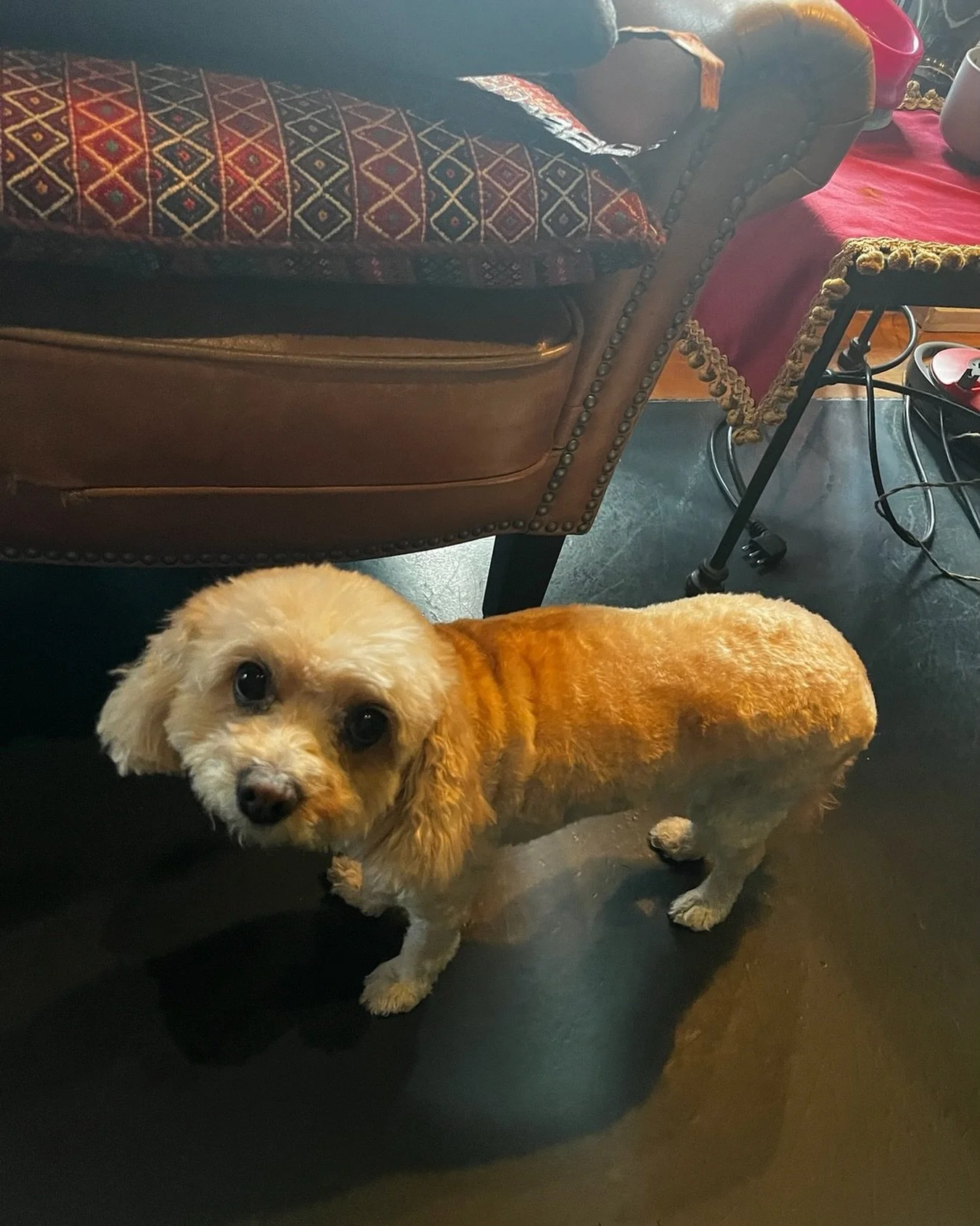 Feelin&rsquo; fresh in a new cut