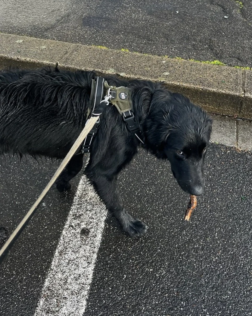 You&rsquo;d better compliment him on his tiny stick