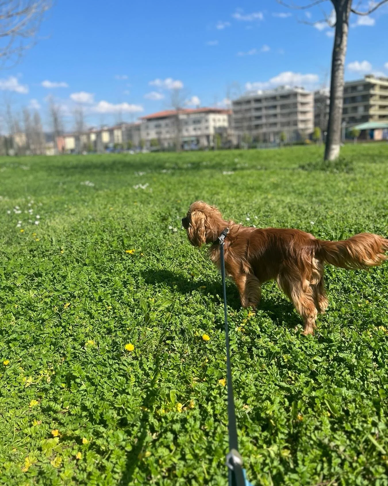 spotted Ben out in the wild