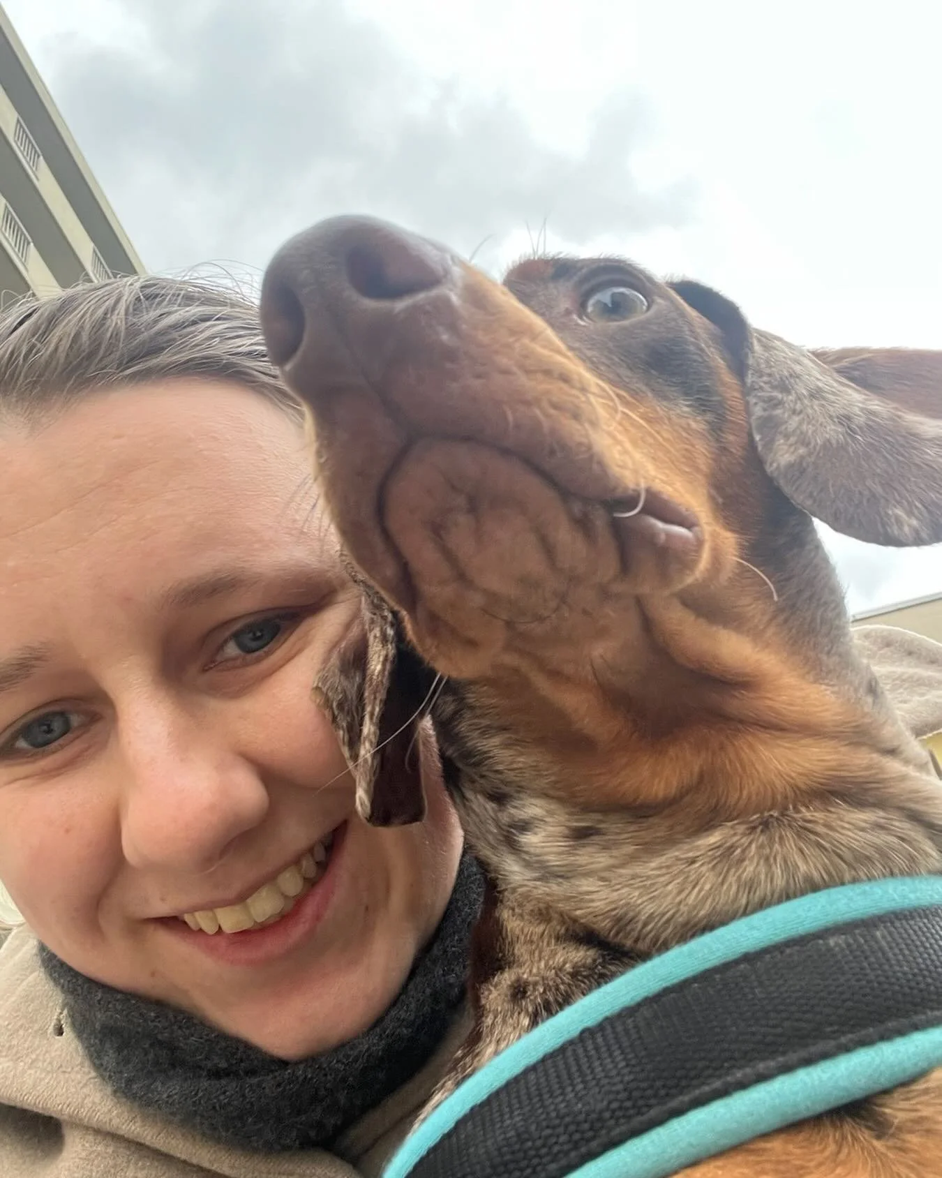 double, triple and quadruple layers of folds