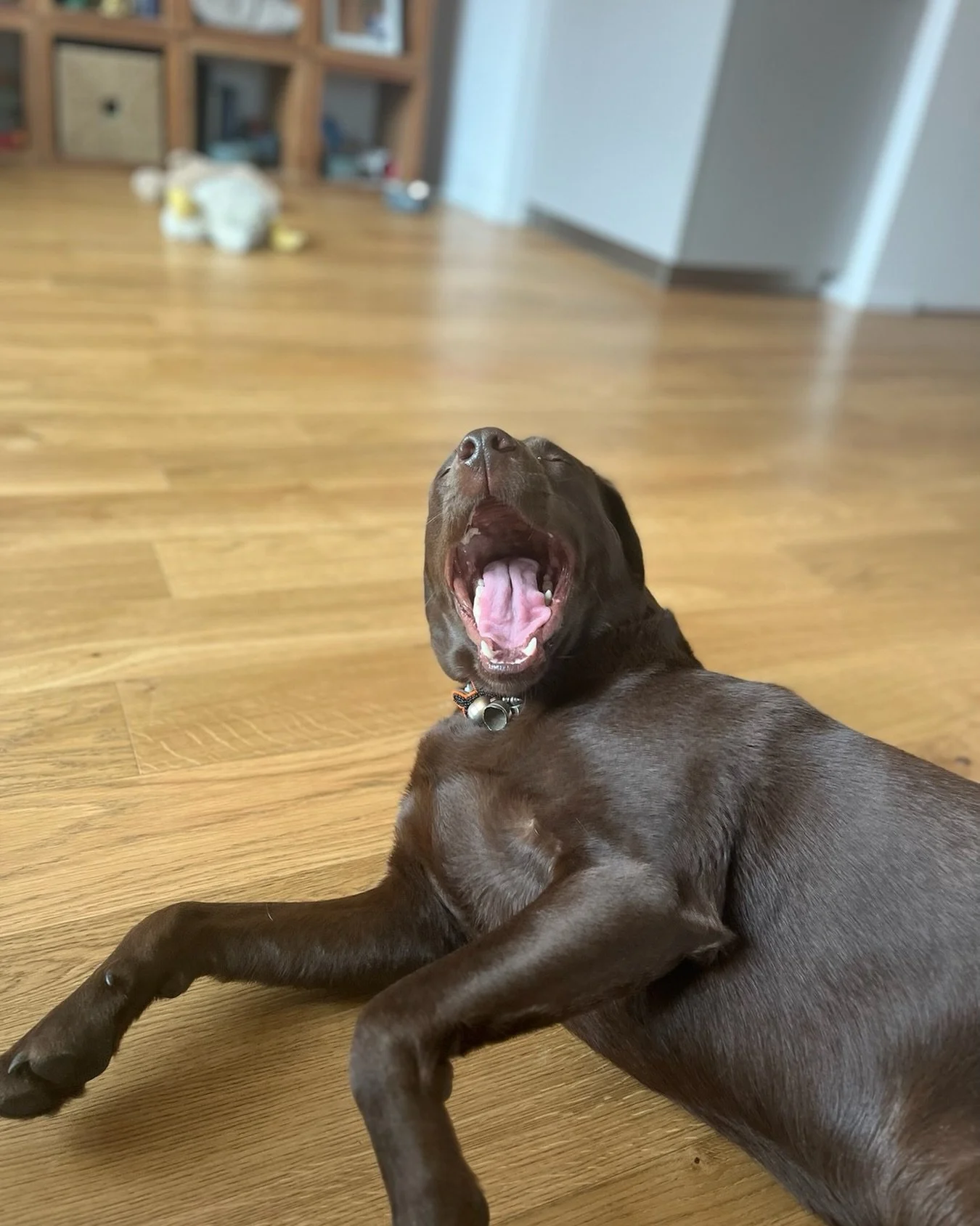 it&rsquo;s a hard knock life