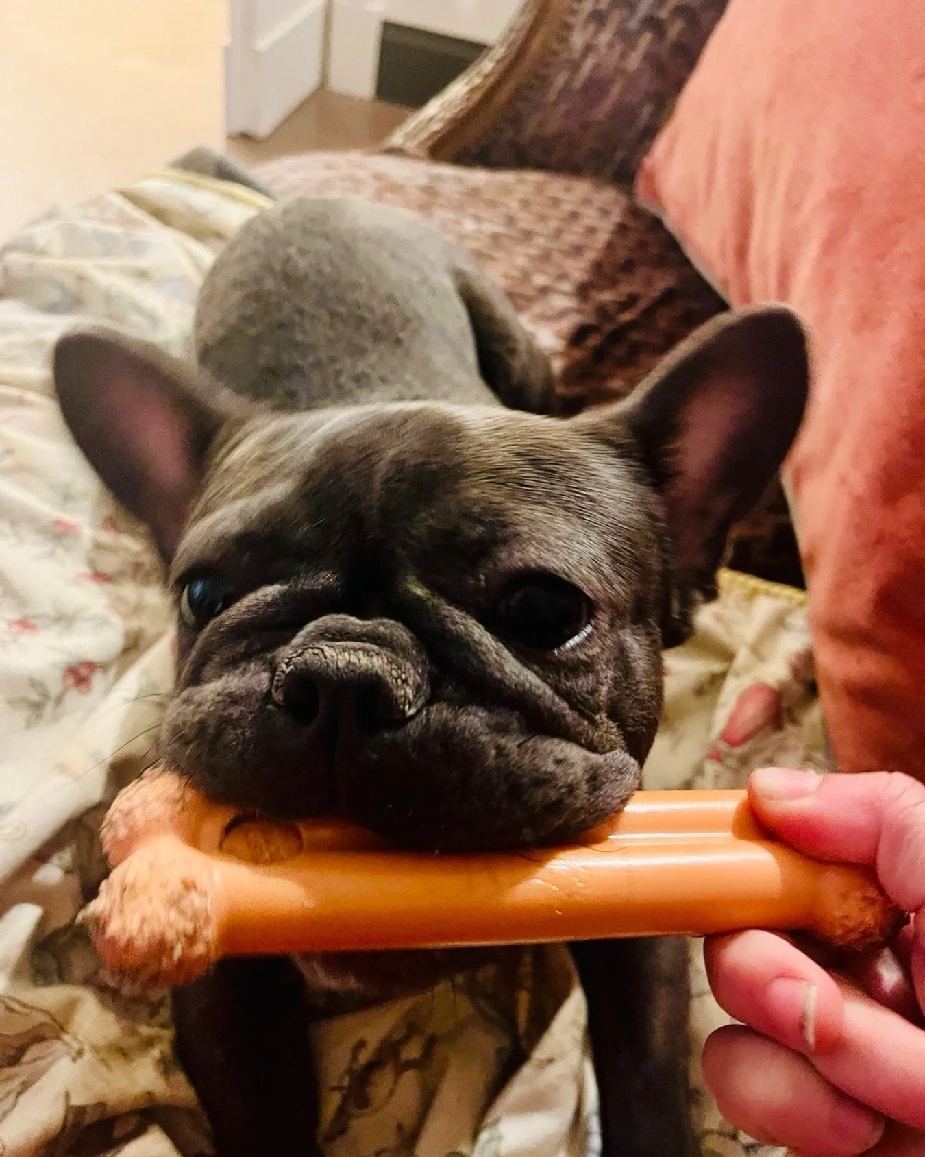 A sweet squishy faced baby