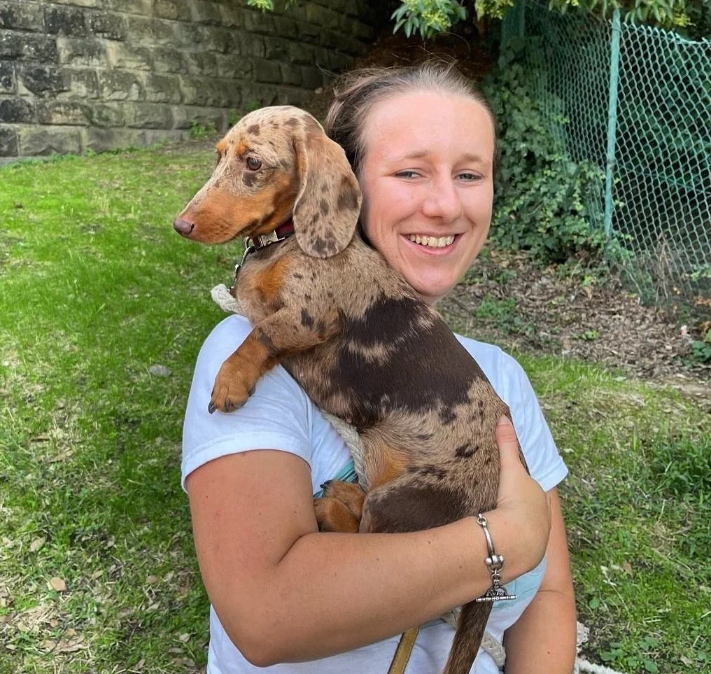 A woman smiling and holding a young brown and tan dachshund puppy outdoors on a grassy area, with a stone wall and green fence in the background.