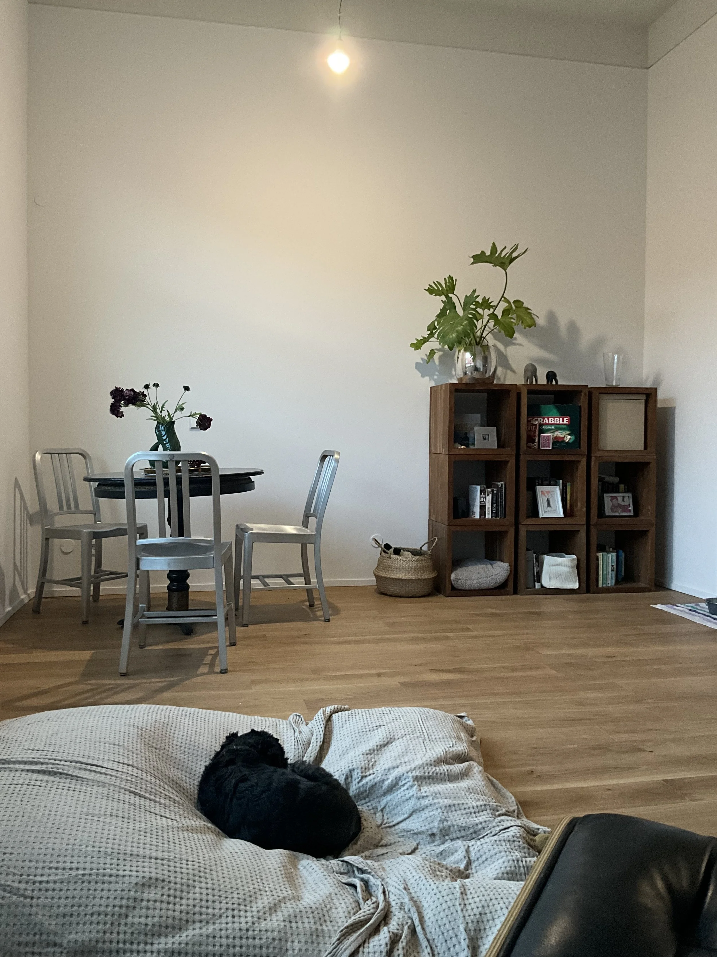 Salon avec un chiot noir dormant sur une couverture beige et blanche posée sur le sol, une bibliothèque en bois avec des plantes et des photos encadrées, une petite table de salle à manger avec quatre chaises et un plafonnier.
