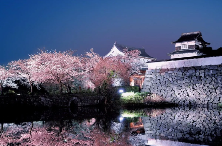 螢幕截圖 2025-03-19 12.20.04.png