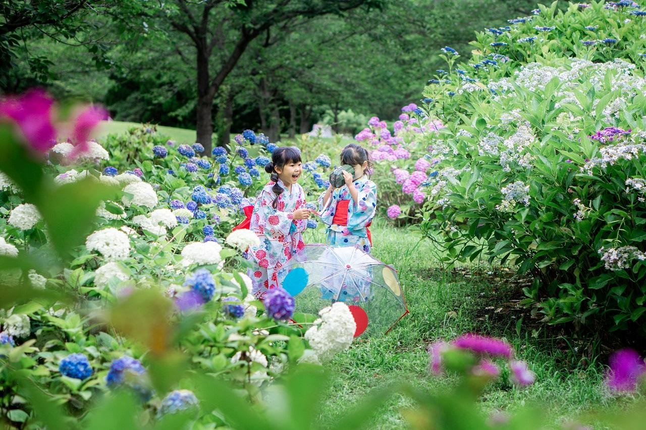 2025 福岡繡球花地圖