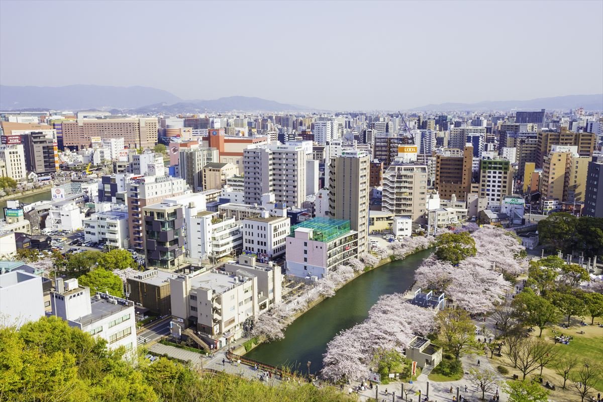2026 Fukuoka Cherry Blossom Viewing Guide