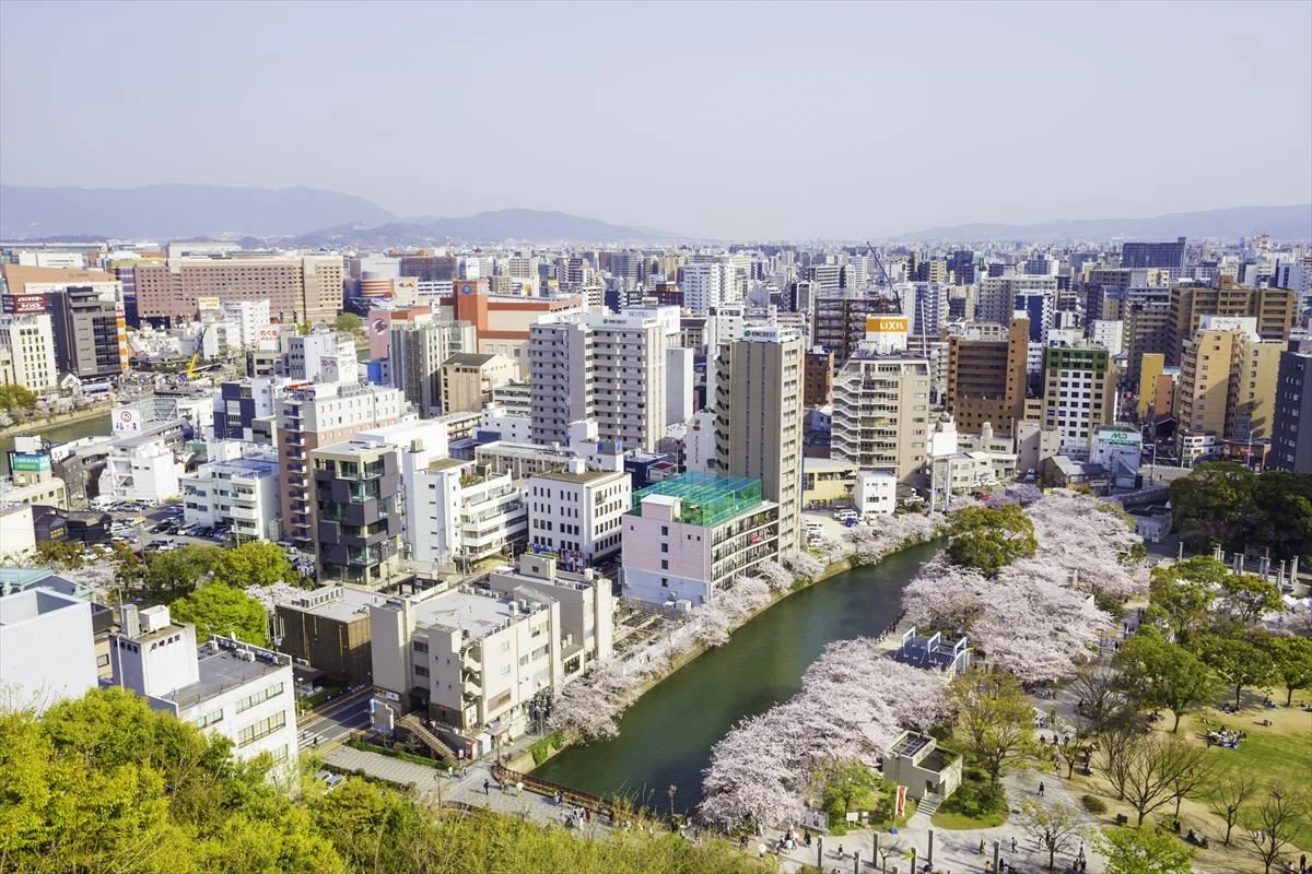 2026 福岡市櫻花景點推薦 