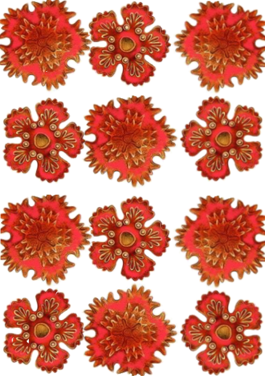 coral+7744.png