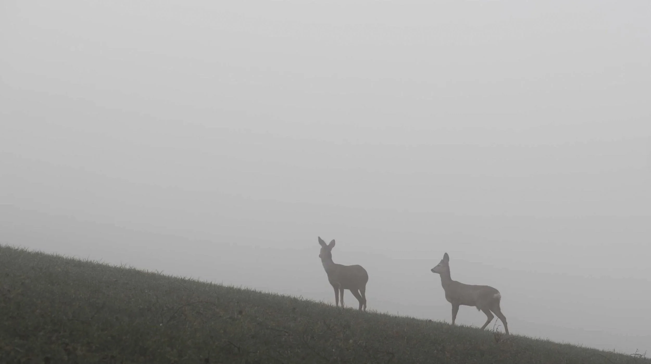 HERITAGE Fallback.jpg