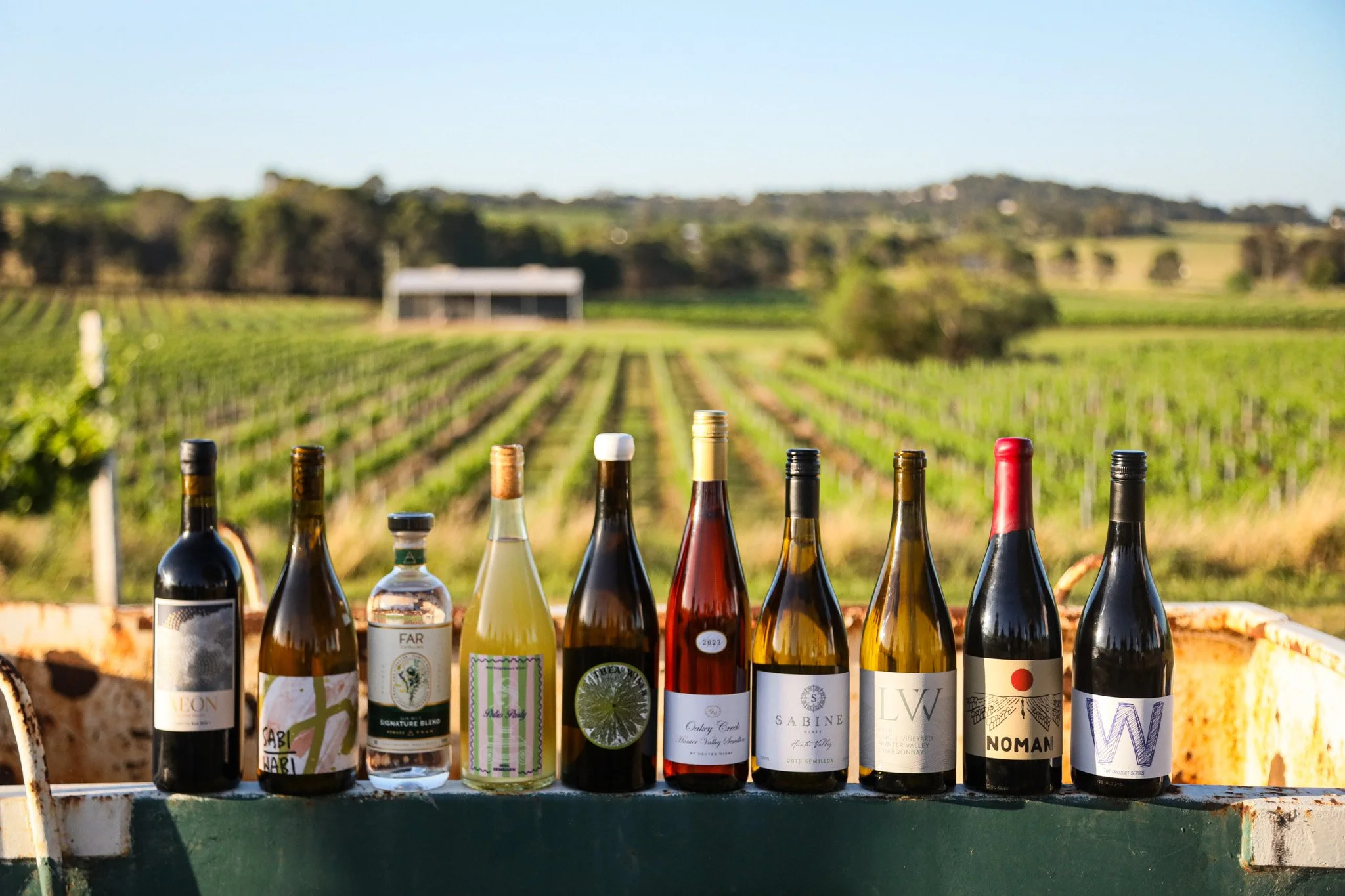 ValleyRising-2025-VineyardBottleShots-8.jpg