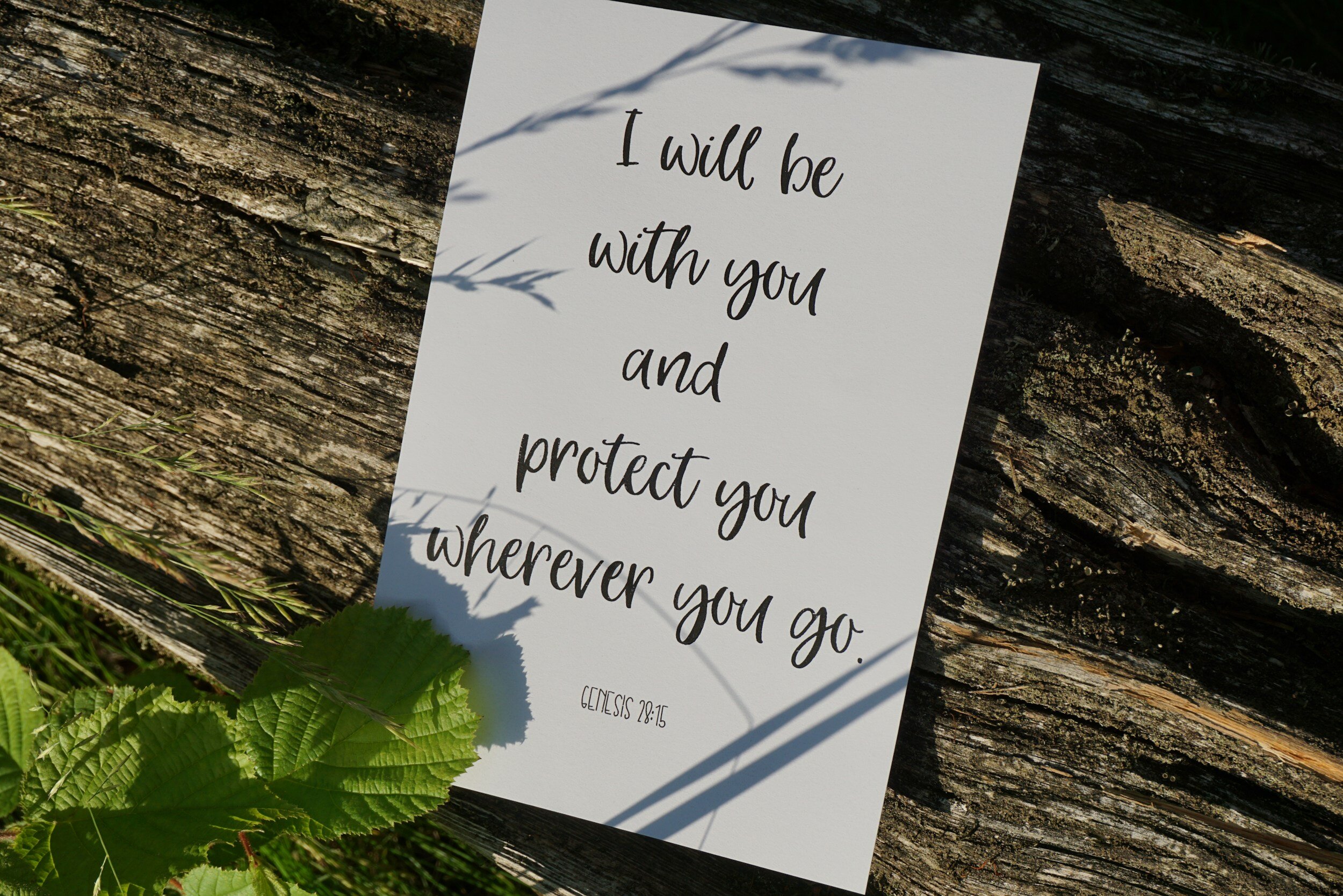 The Promise