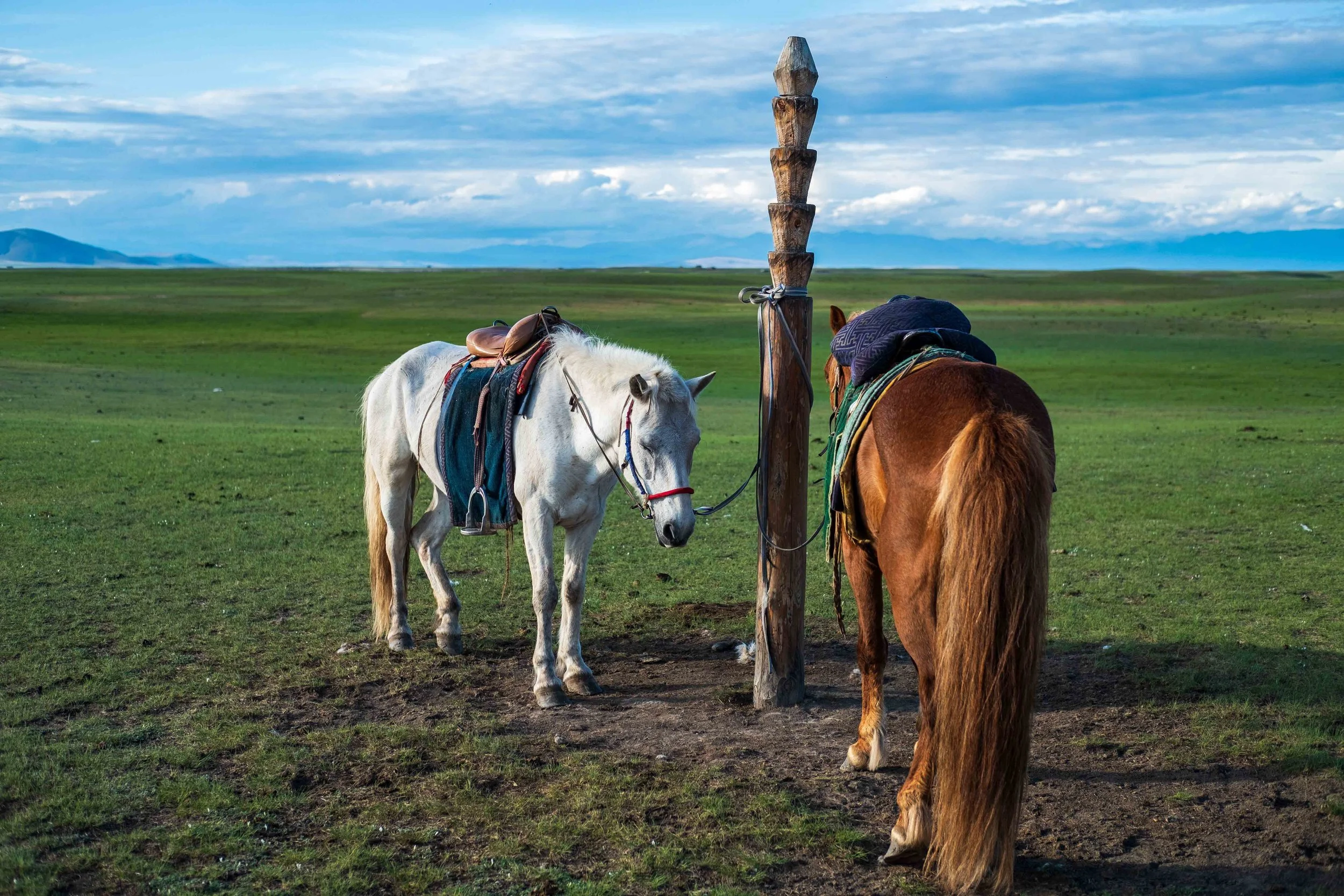 Mongolia 2.jpg