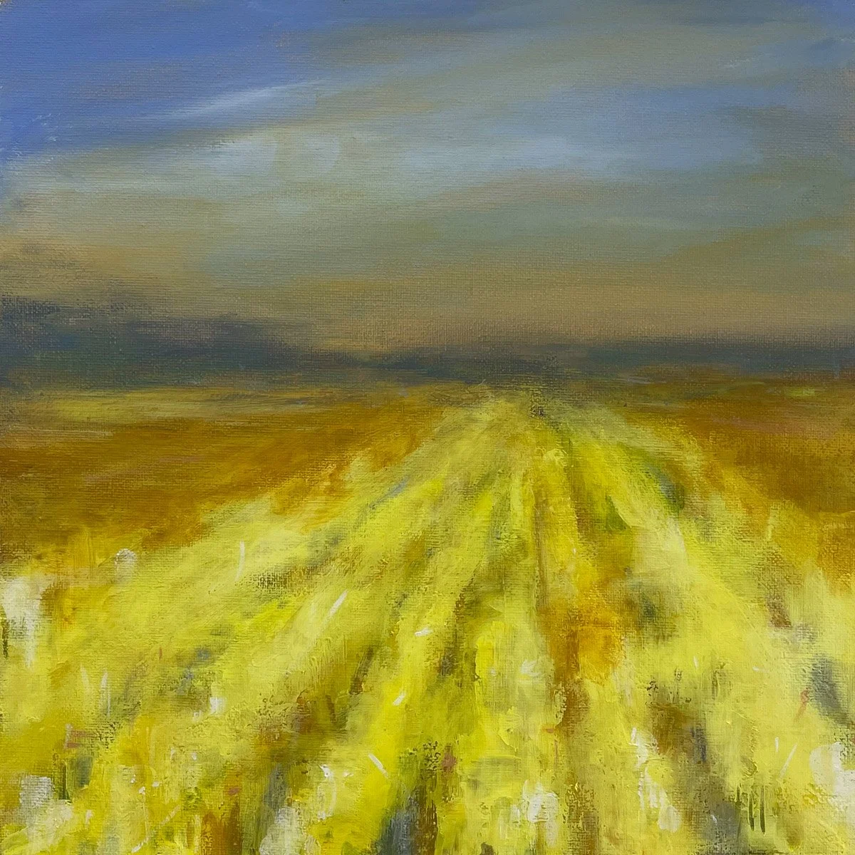 Fields of First Light