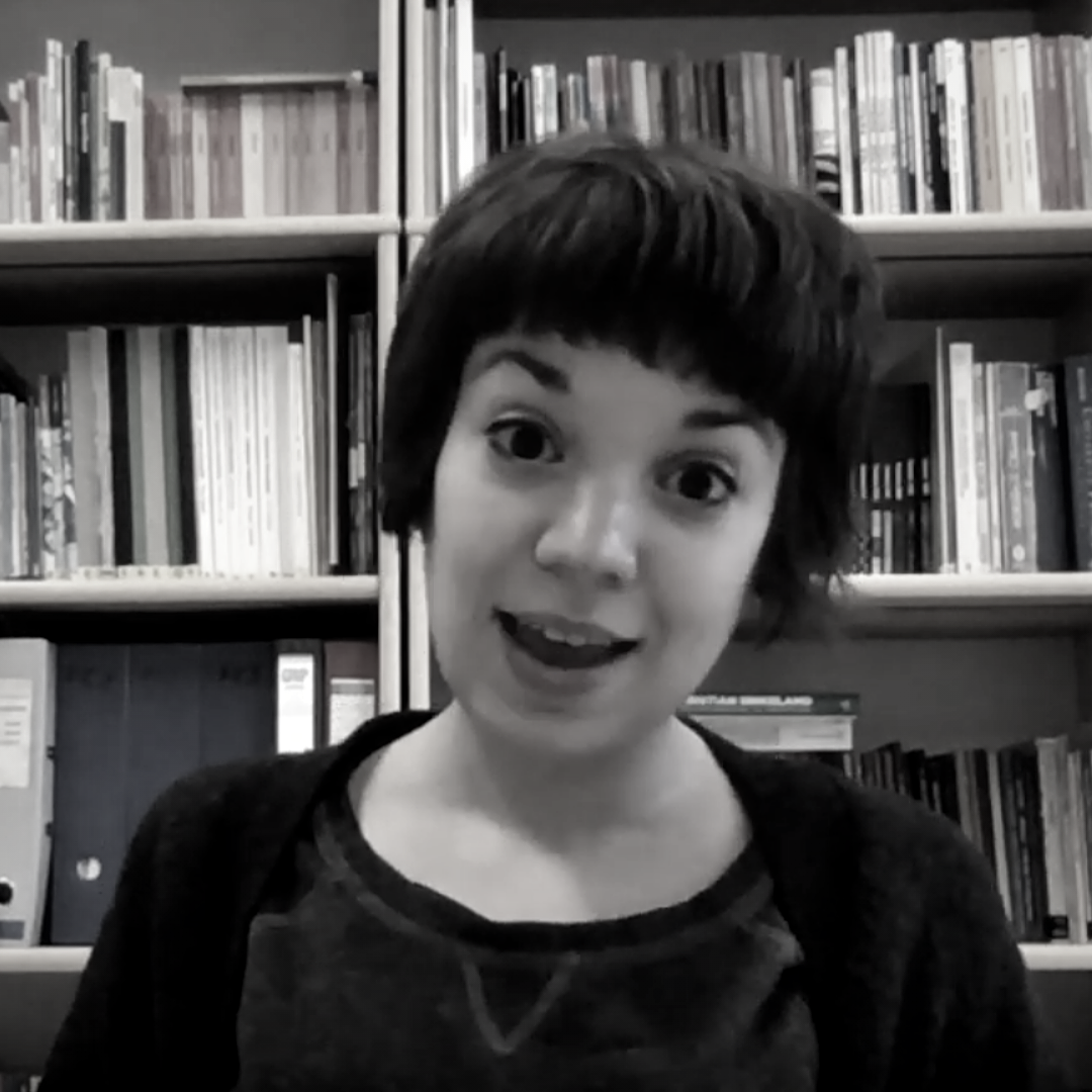 EARLI Mentoring Grant