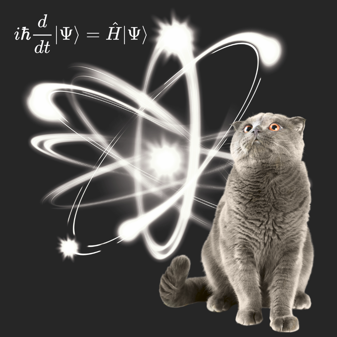 Podcast: thought experiments in physics