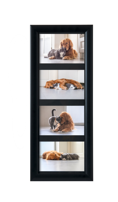 Screenshot 2026-02-17 14.52.48.png