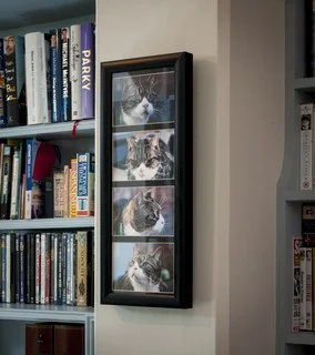 Triple picture tribute hanging wall frame