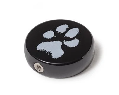 Keepsake for a token ashes.