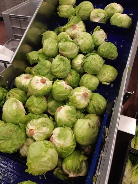 UK Iceberg