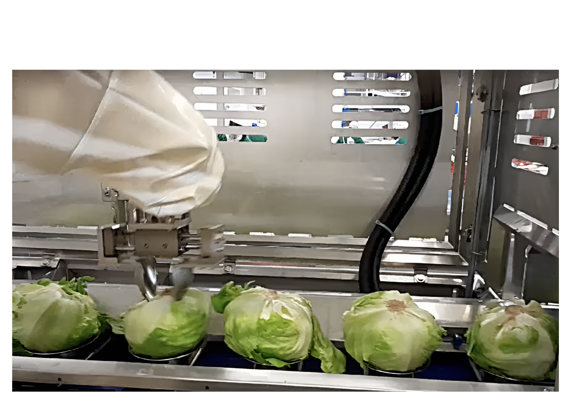 Extractacore® De-corer in high volume processing.