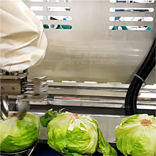 Extractacore Lettuce de-corer in a working facility